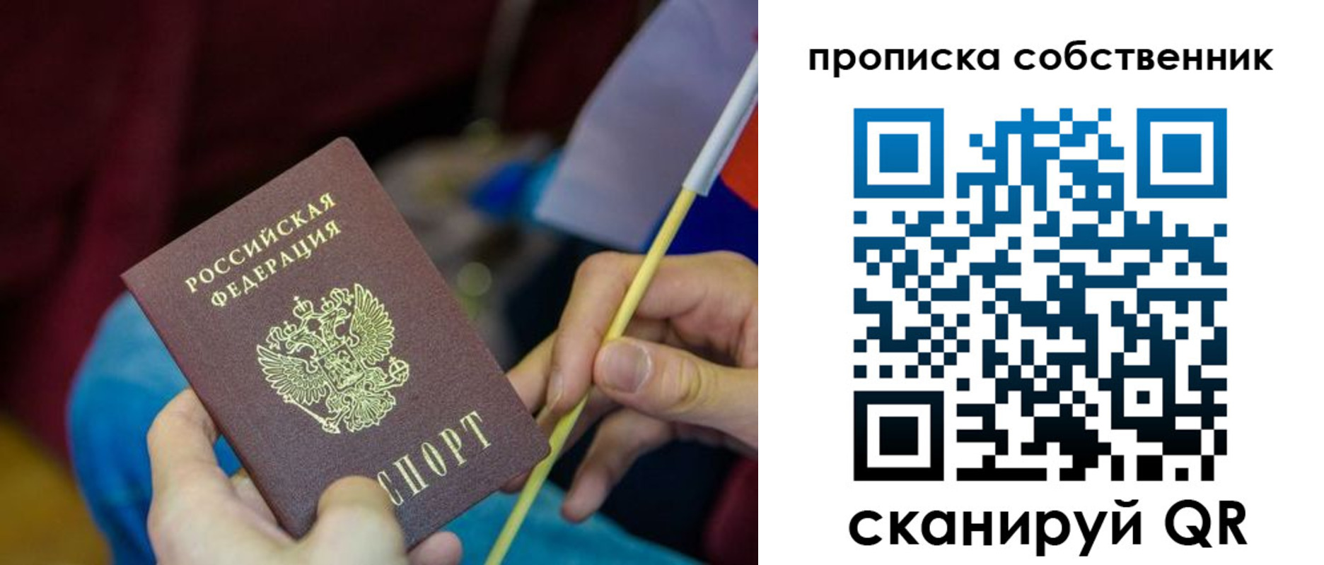 прописка в Покрове